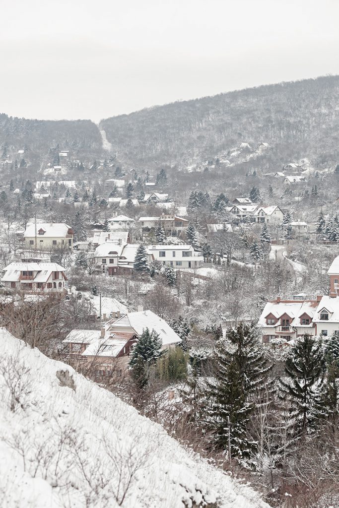 Compact family house, Budaörs BIG SEE