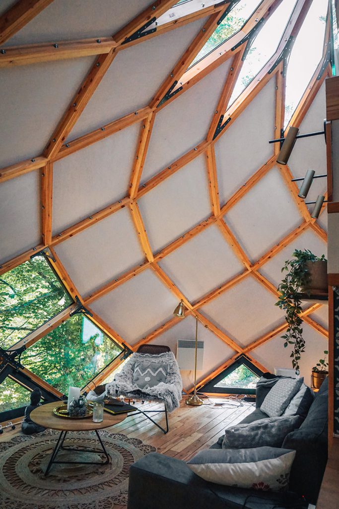 Armadillo house BIG SEE