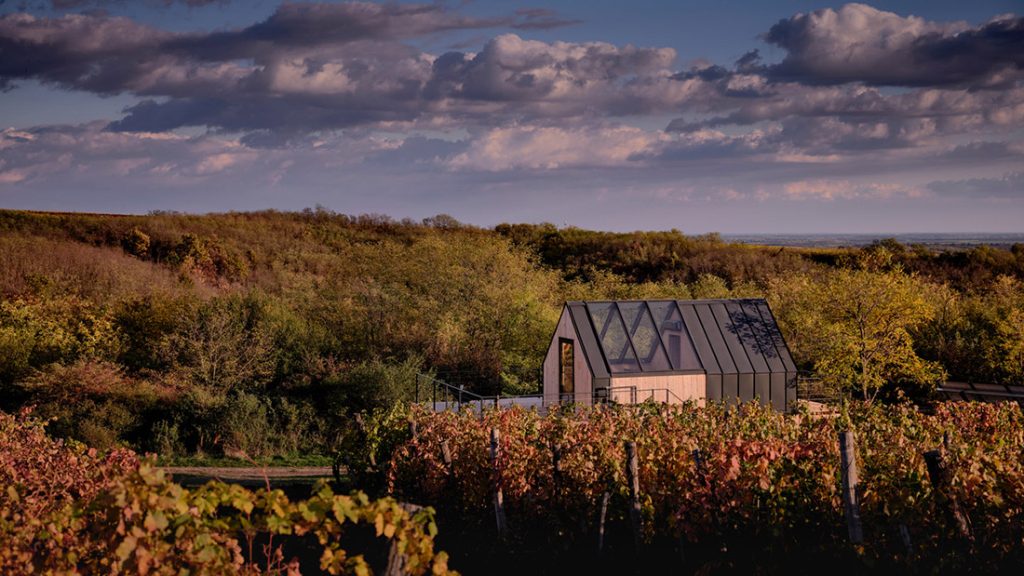 Campy Eco House – BIG SEE