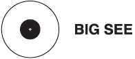 BIG SEE Logo