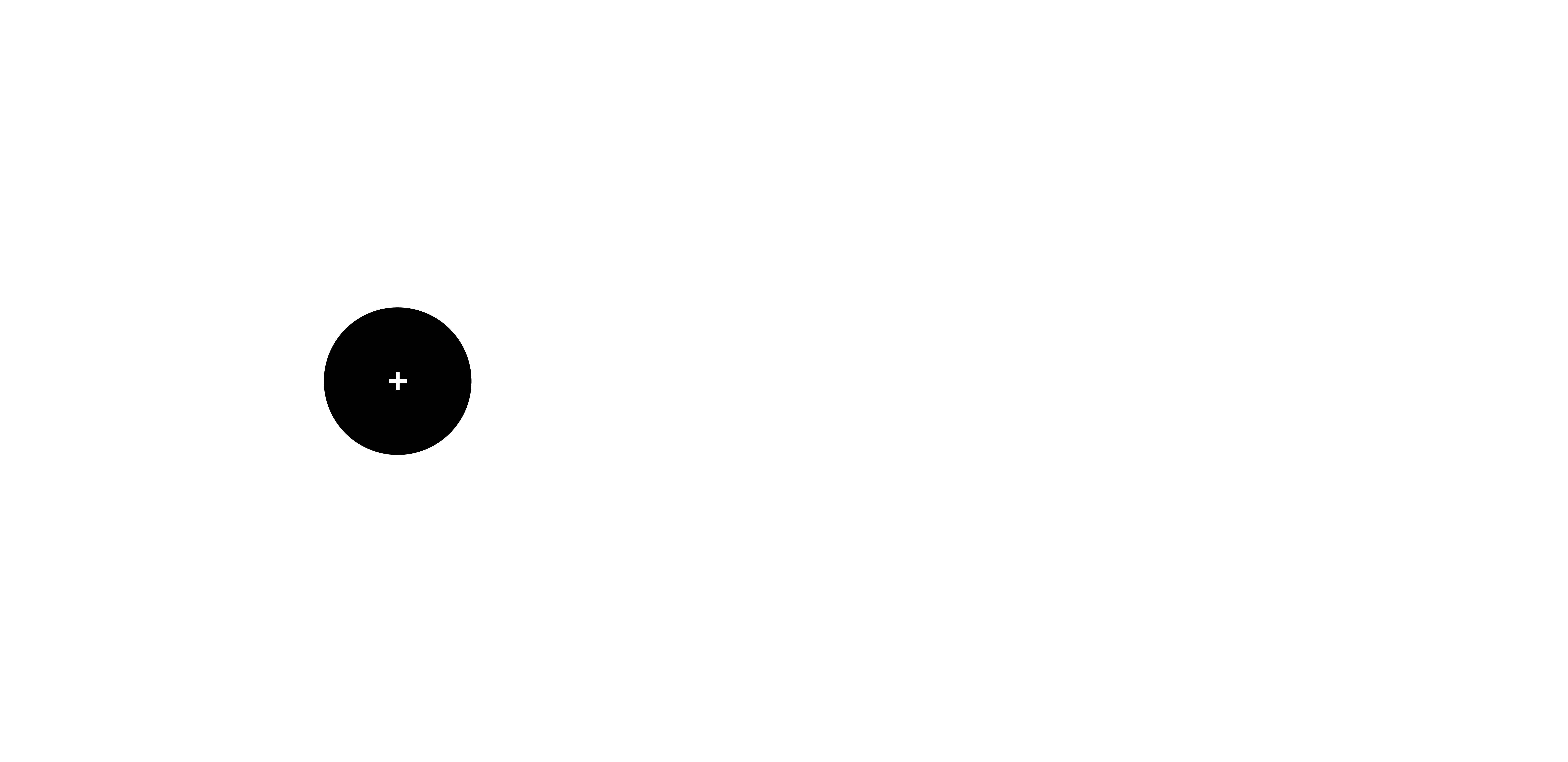 Visionaries