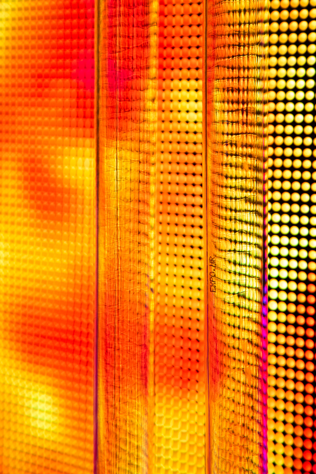 20250128-_1012646