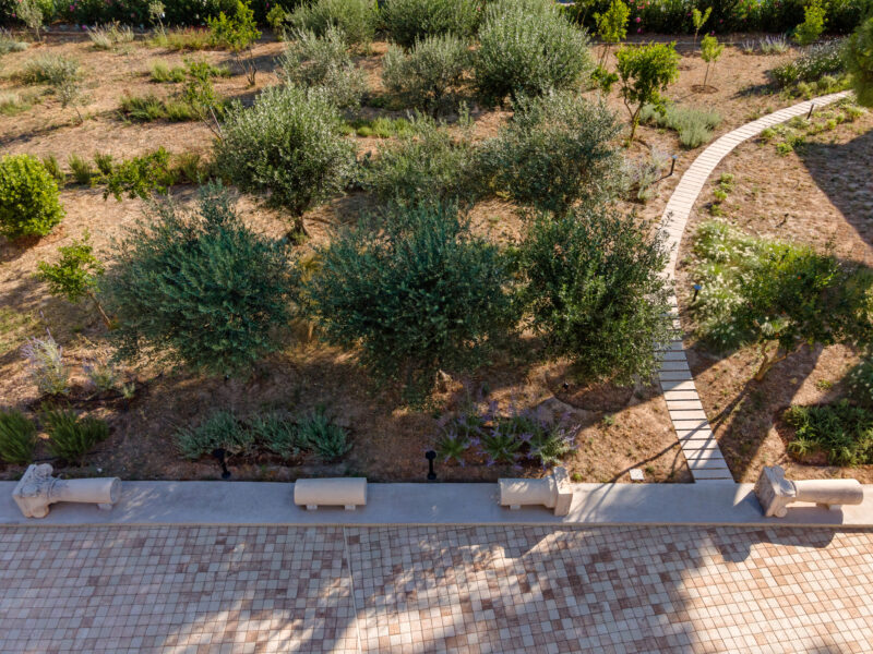 SPOLIA by AREA – BIG SEE