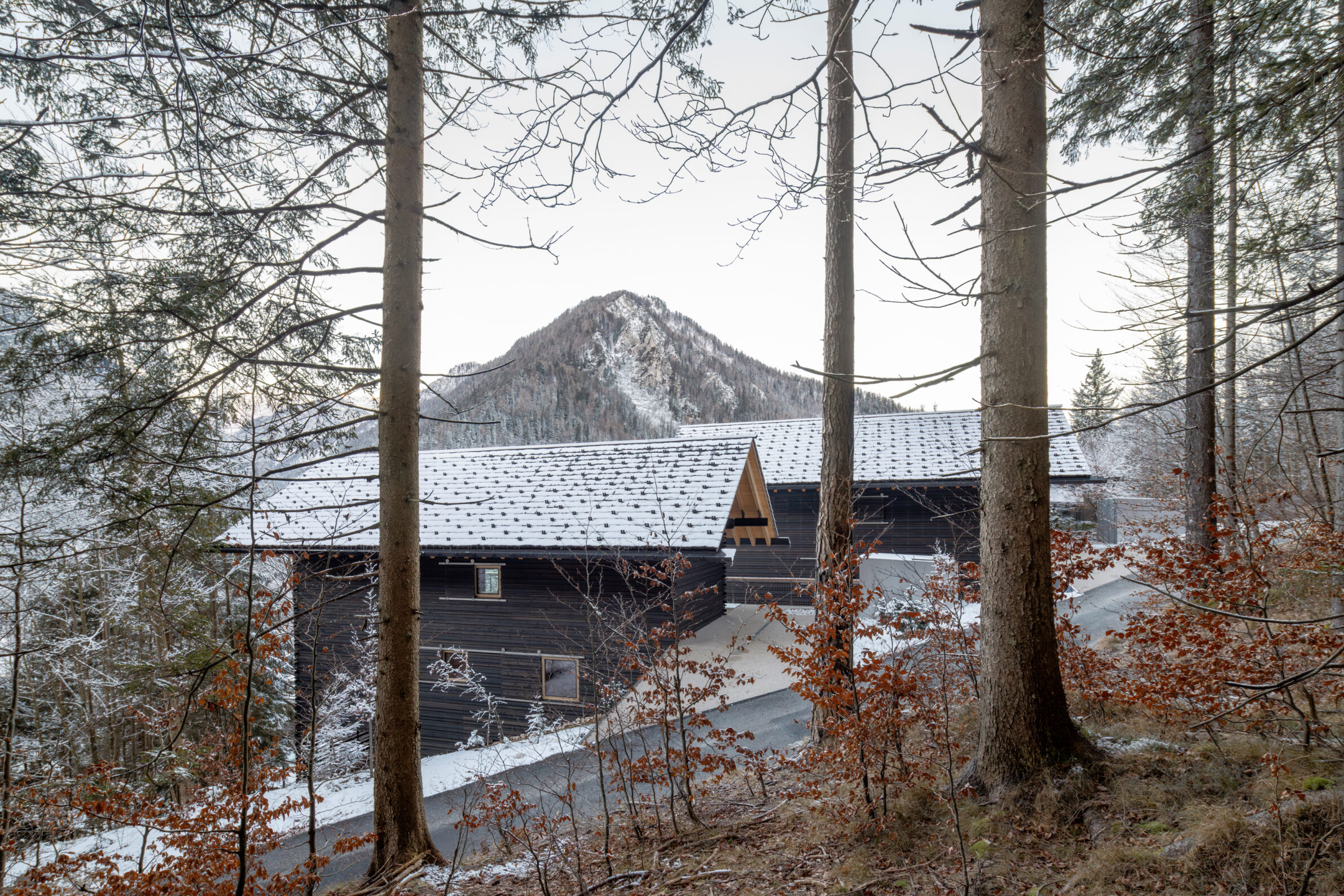 Twin Alpine Houses_Dekleva Gregoric Architects_photo Ana Skobe_1_outside_01 Dekleva Gregoric
