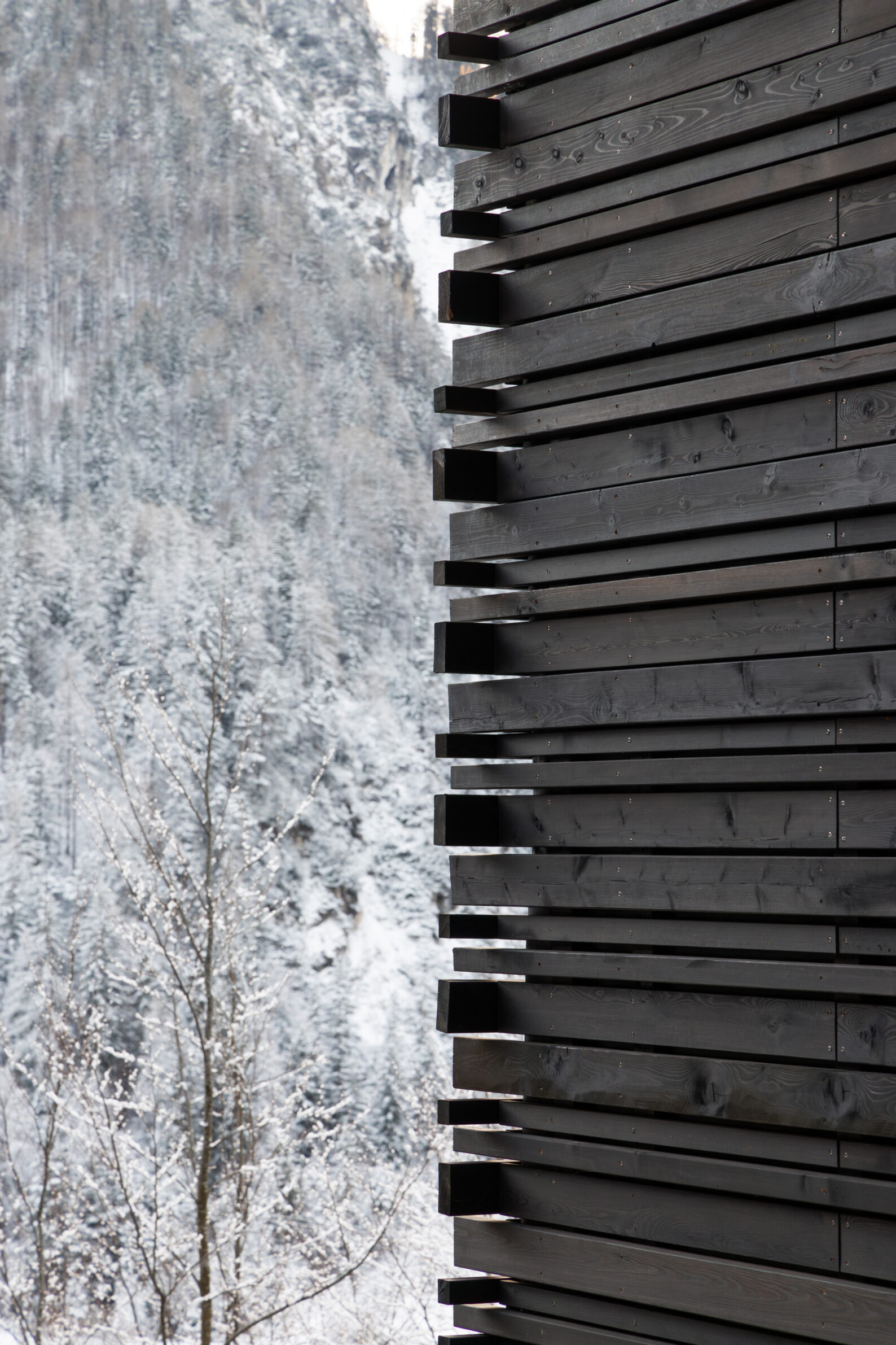 Twin Alpine Houses_Dekleva Gregoric Architects_photo Ana Skobe_1_outside_11 Dekleva Gregoric