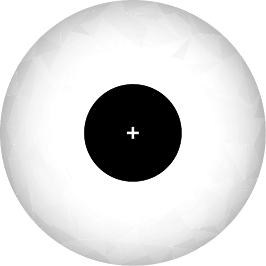 Survey