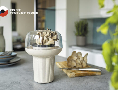 WRKS Studio Designing the Way from Coffee Grounds to Fresh Mushrooms