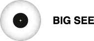 BIG SEE Make Sense Logo