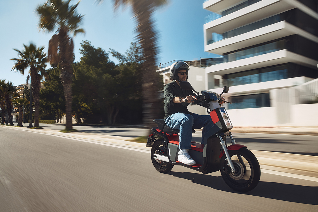 _Y3A8163 Matadog Design