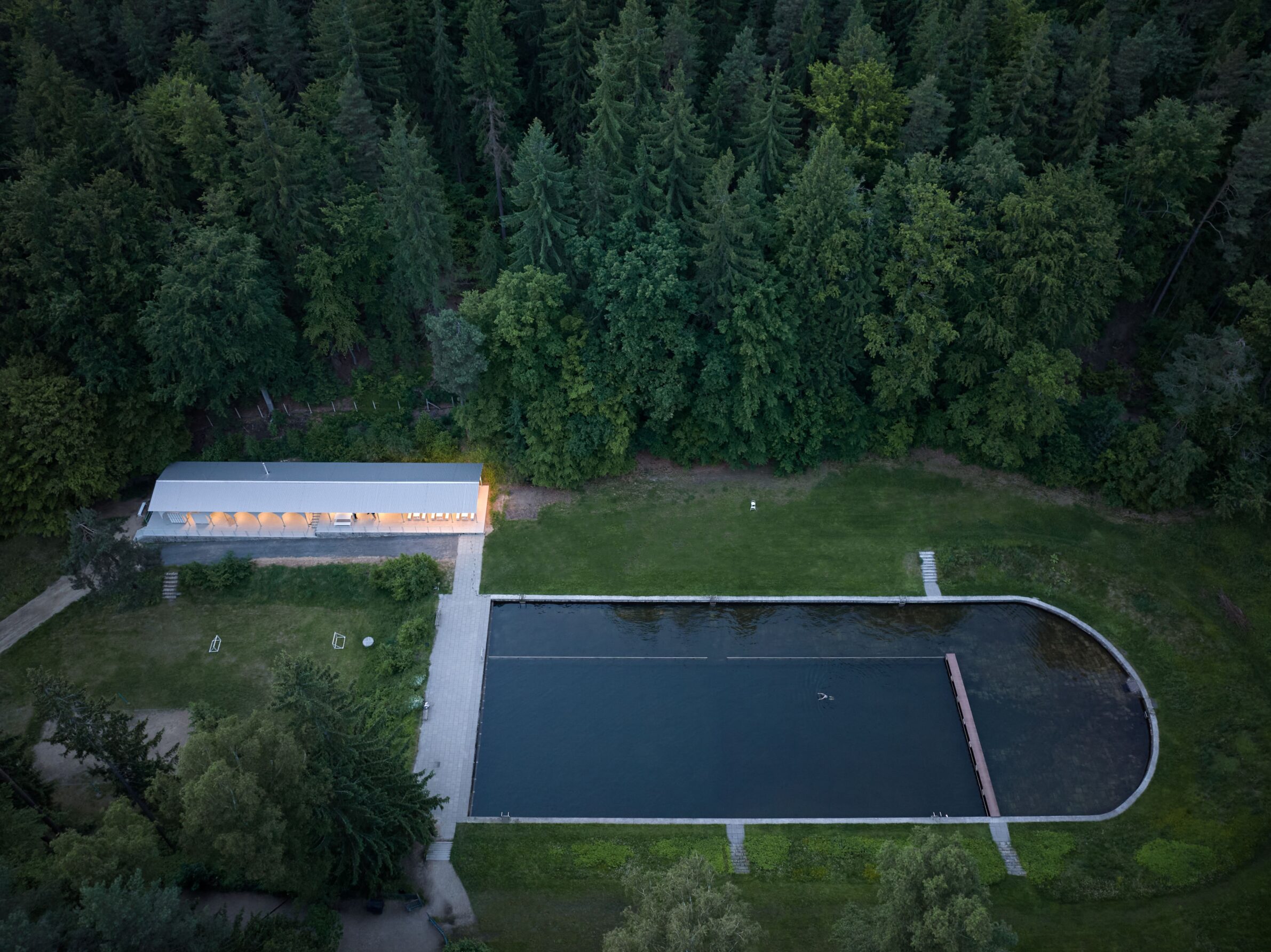 Forest Pool