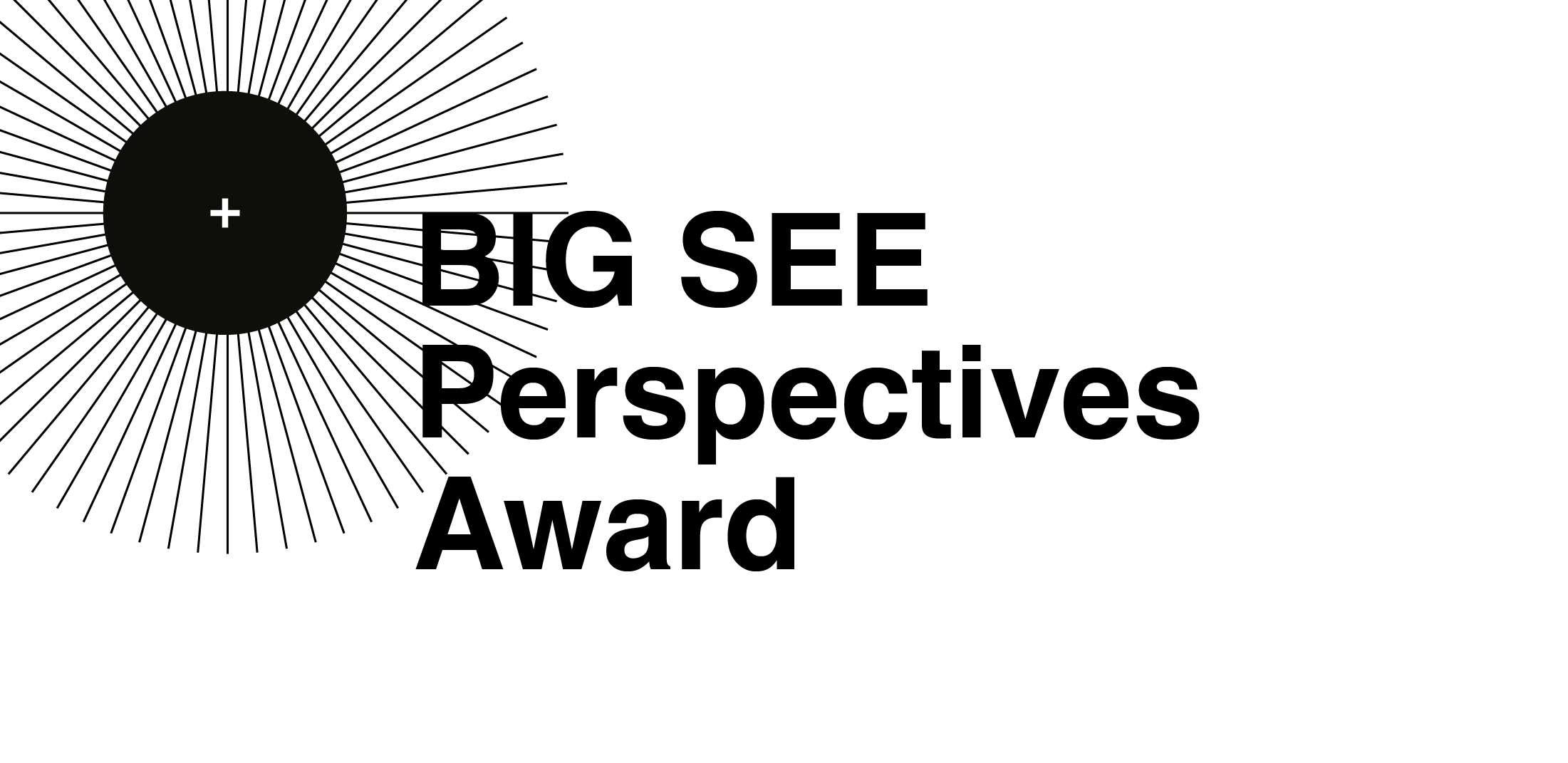 cover perspectives award