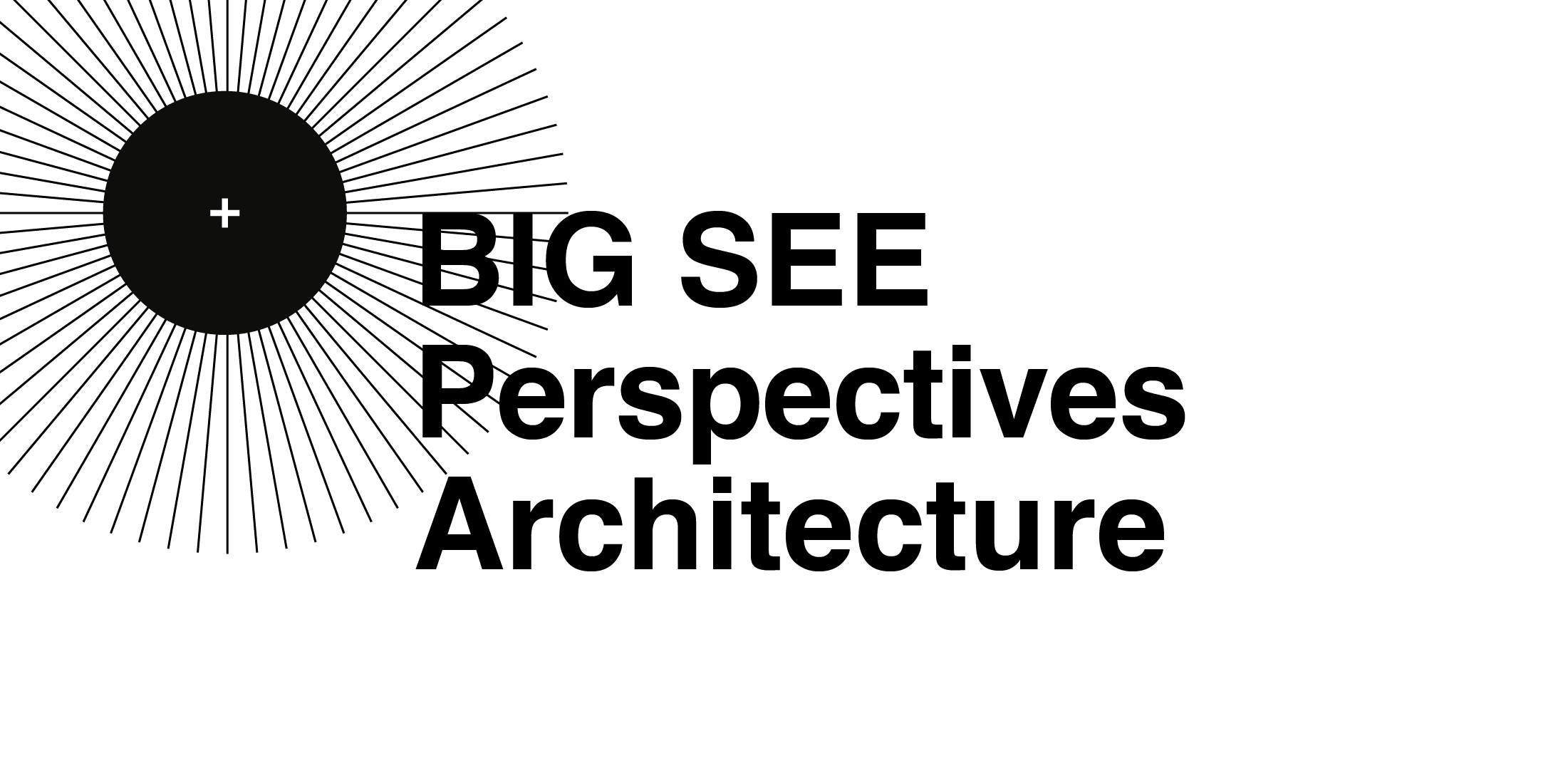 cover perspektives architecture