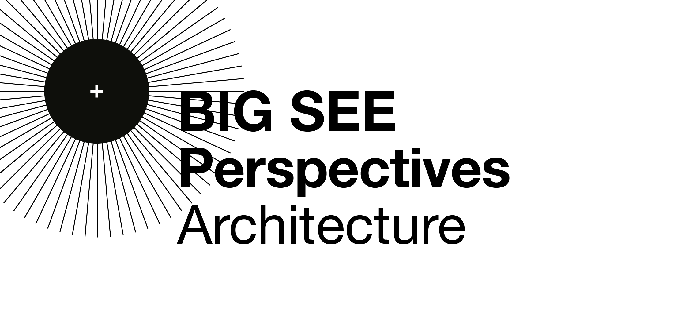 cover perspektives architecture1