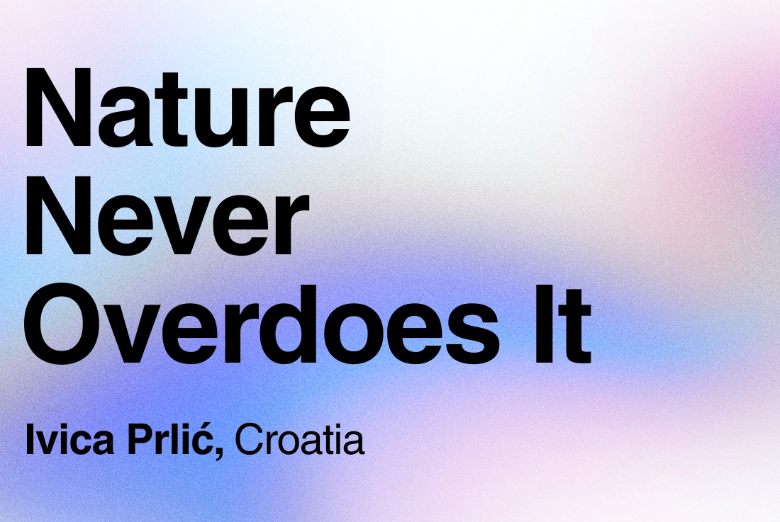 BIG SEE Survey - Ivica Prlic: Nature Never Overdoes It