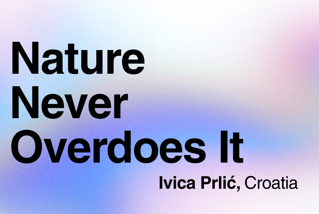 BIG SEE Survey - Ivica Prlic: Nature Never Overdoes It