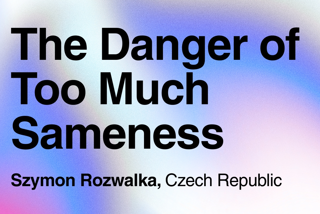 BIG SEE Survey - Szymon Rozwalka: The Danger of Too Much Sameness