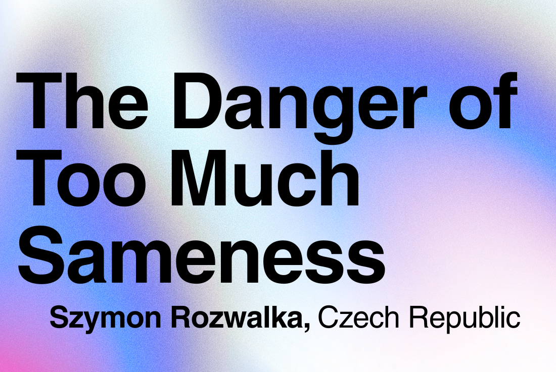 BIG SEE Survey - Szymon Rozwalka: The Danger of Too Much Sameness