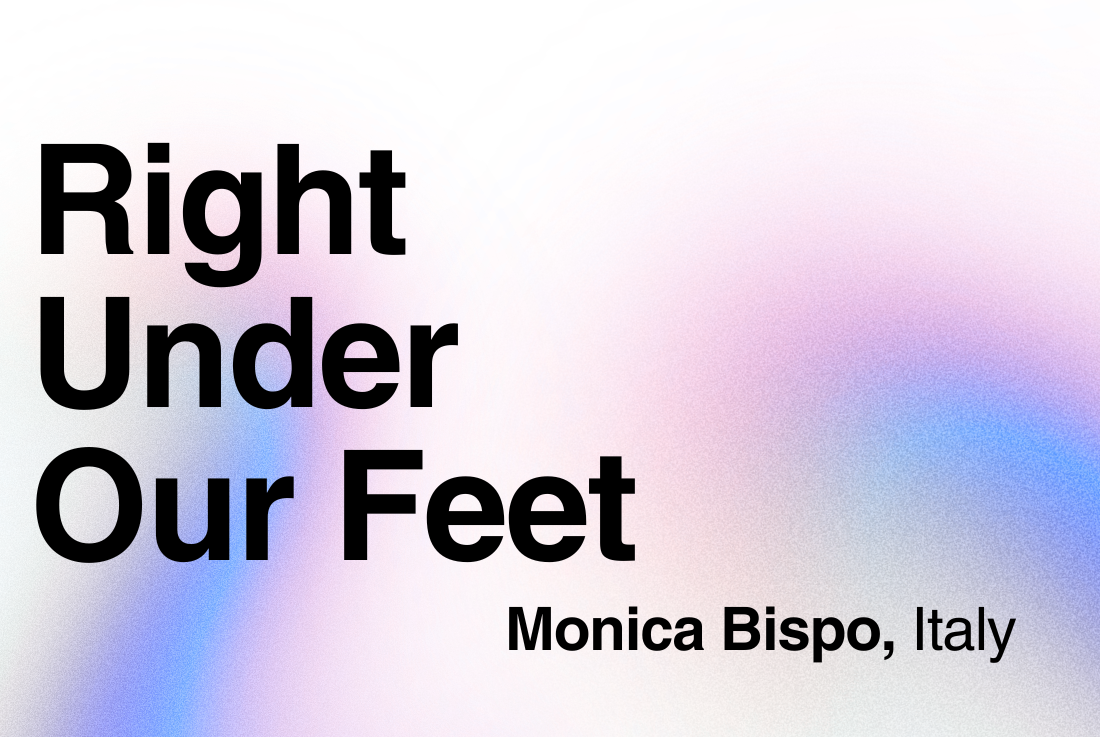BIG SEE Survey - Monica Bispo: Right Under Our Feet
