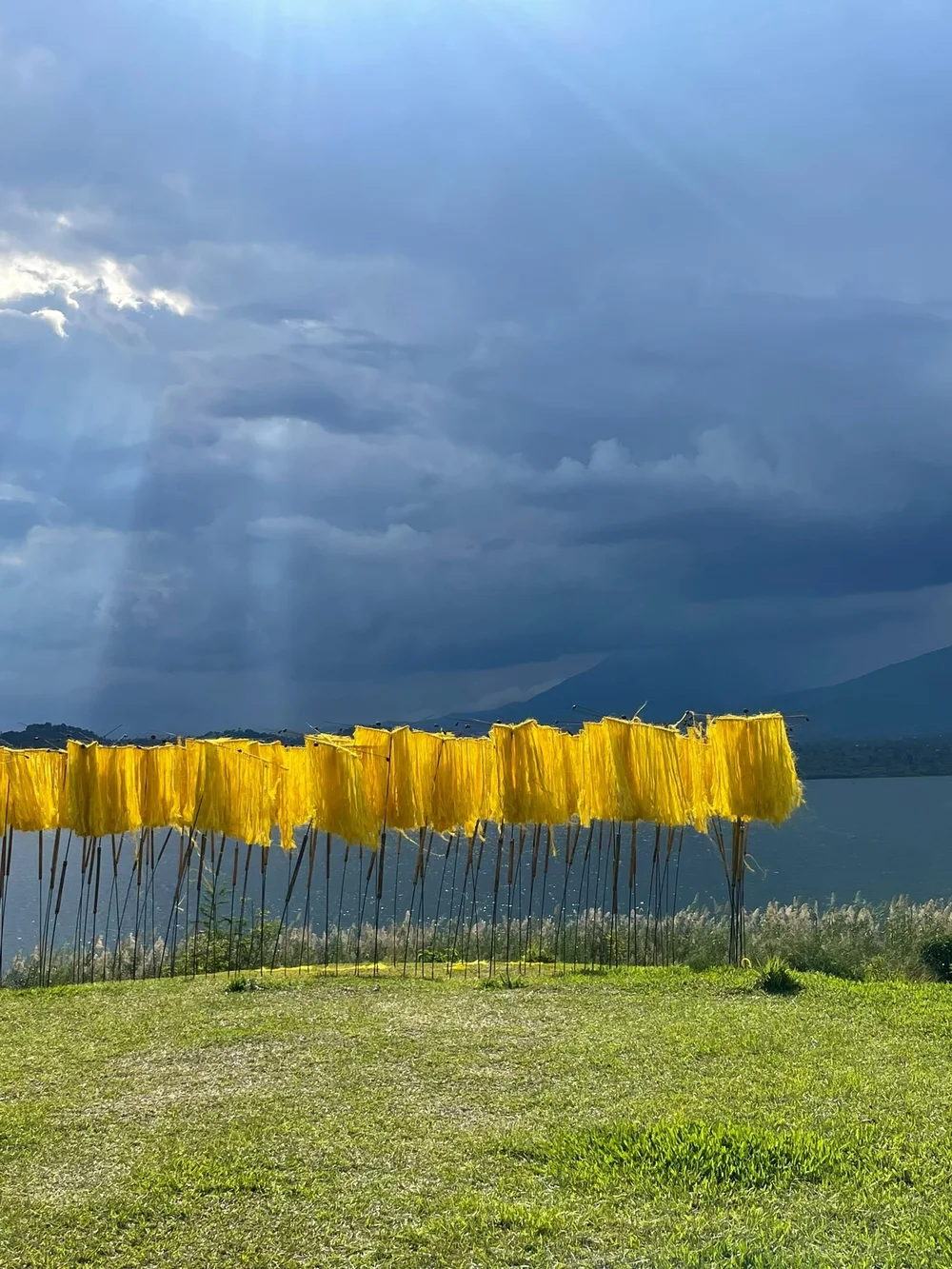 “Woven Together: A Bright Future"