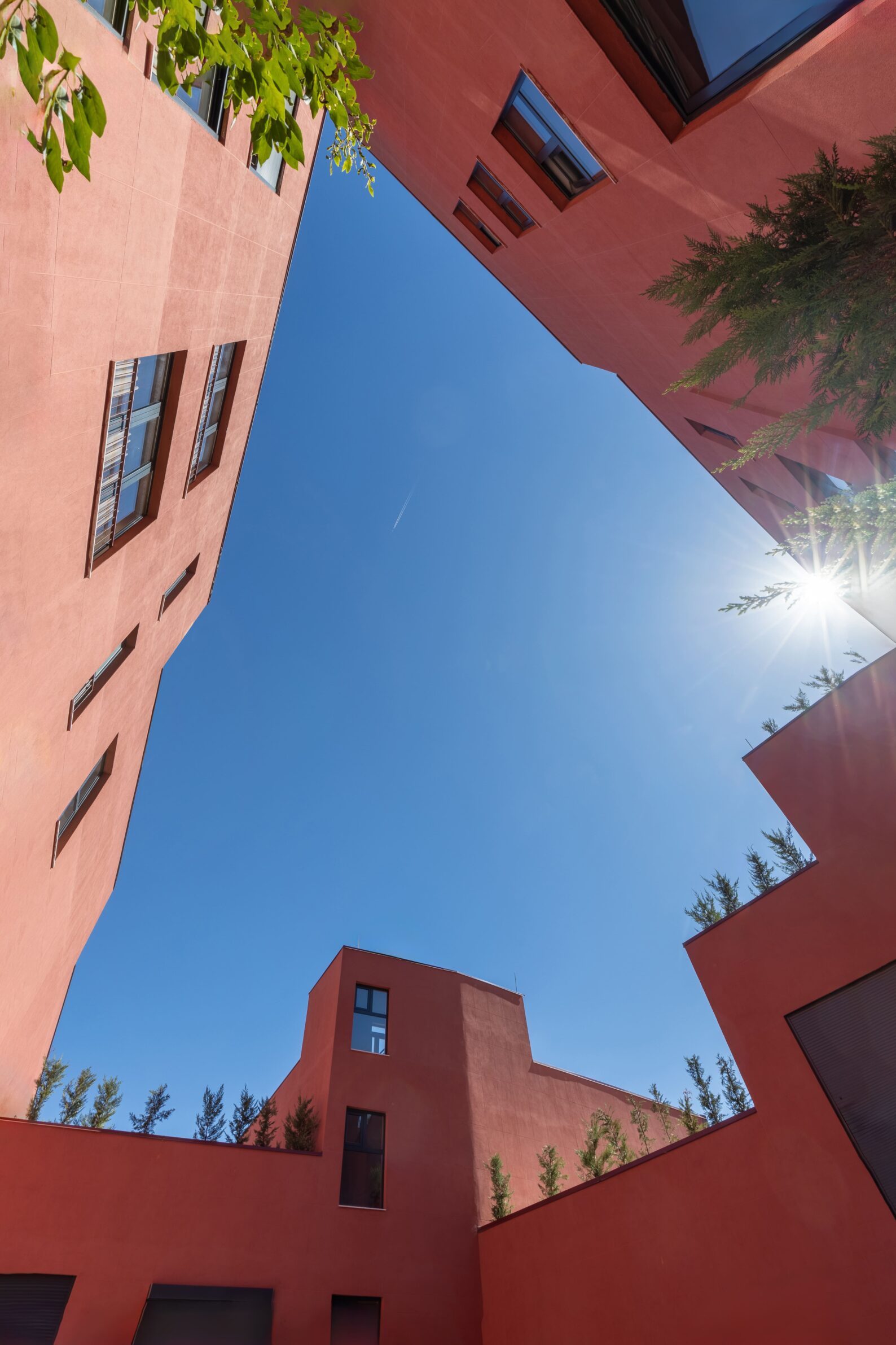 ANK Architecture