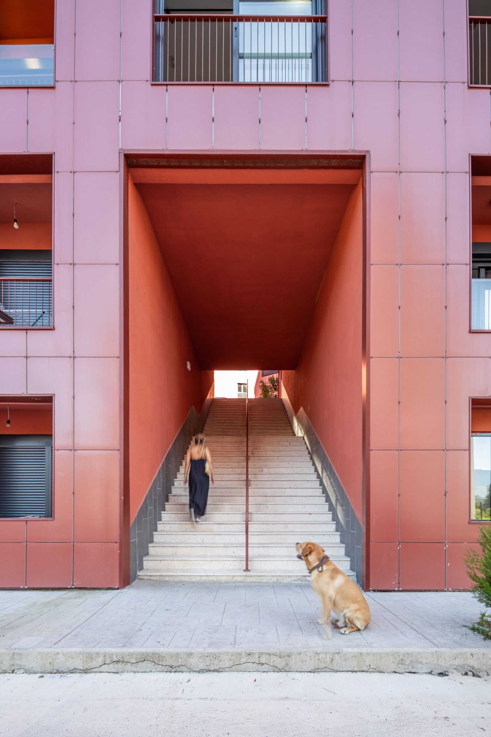 ANK Architecture